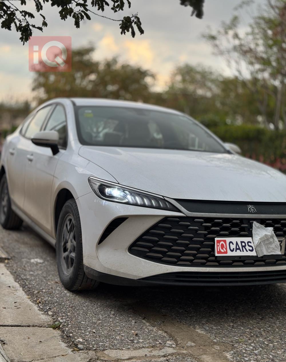 بي واي دي Qin Plus